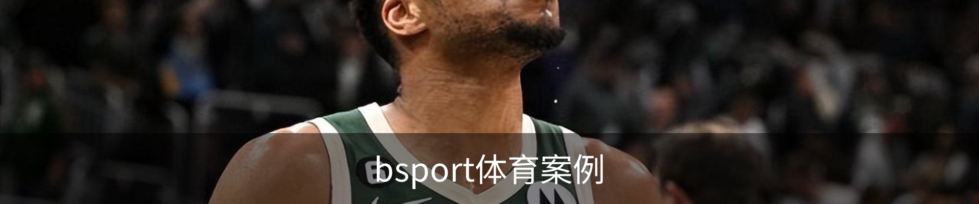 bsport体育案例